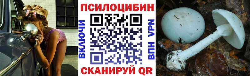 где можно купить   Озёрск  Галлюциногенные грибы Psilocybe 